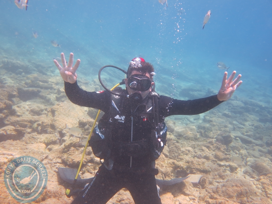05-06 Ağustos 2017 BODRUM