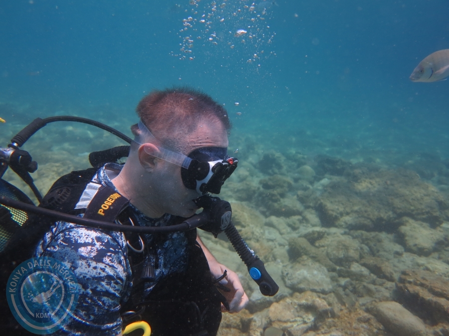 05-06 Ağustos 2017 BODRUM