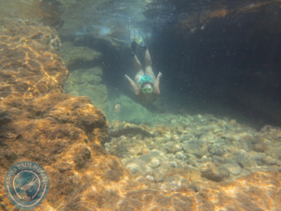 05-06 Ağustos 2017 BODRUM