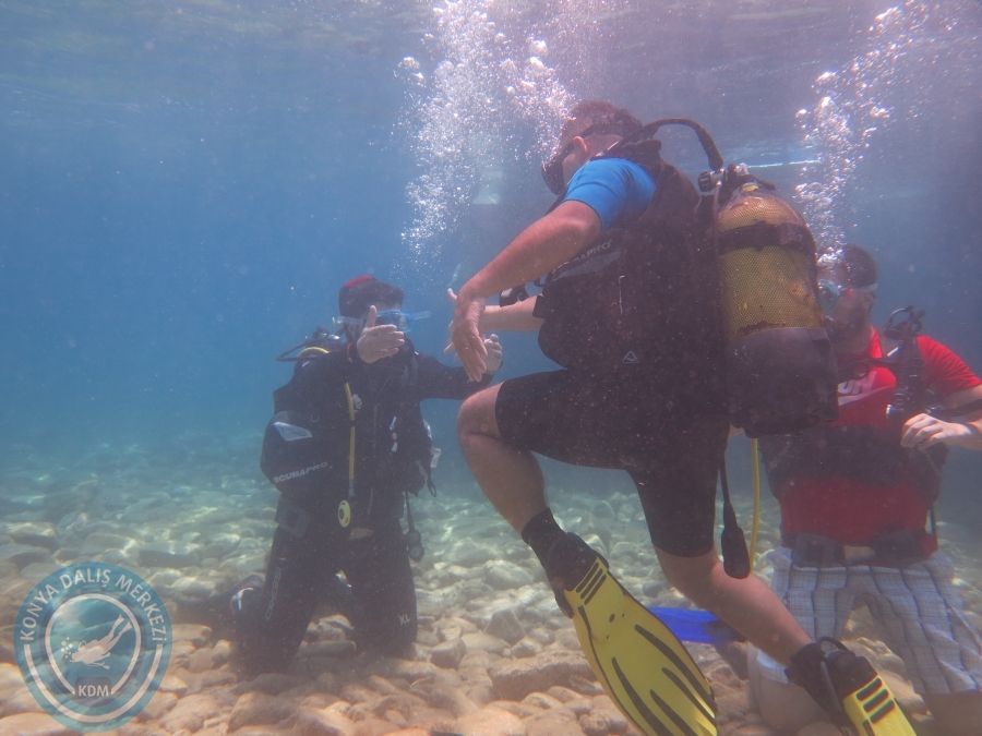 05-06 Ağustos 2017 BODRUM