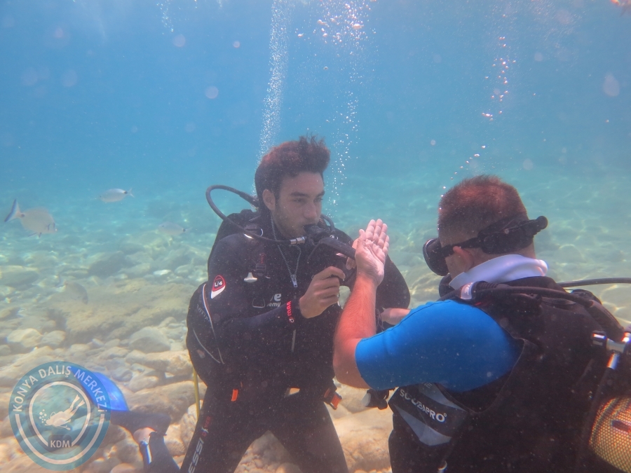 05-06 Ağustos 2017 BODRUM