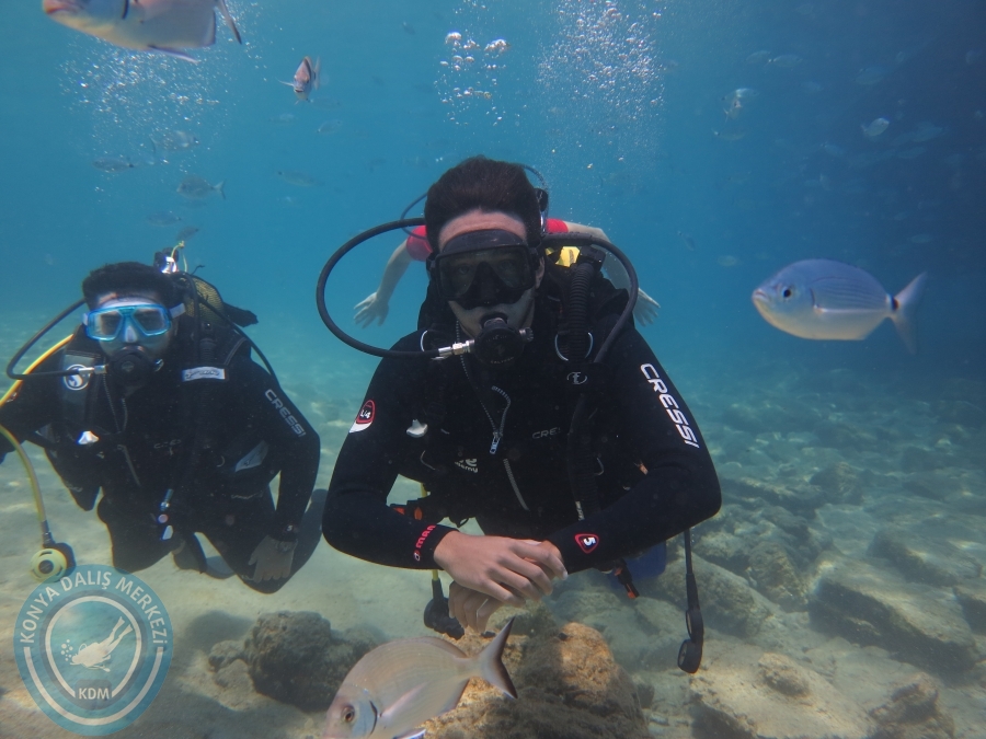 05-06 Ağustos 2017 BODRUM