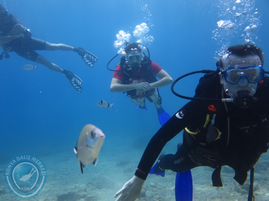 05-06 Ağustos 2017 BODRUM
