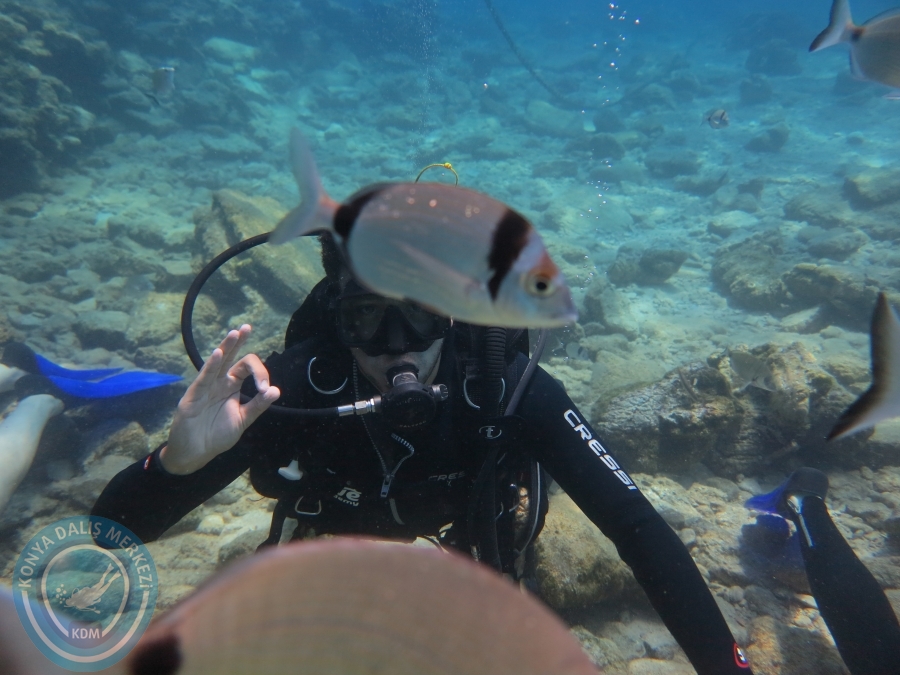 05-06 Ağustos 2017 BODRUM