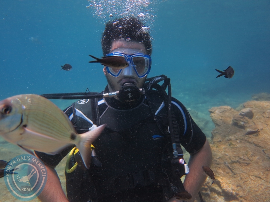 05-06 Ağustos 2017 BODRUM