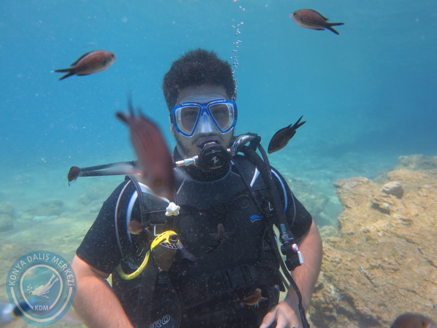 05-06 Ağustos 2017 BODRUM