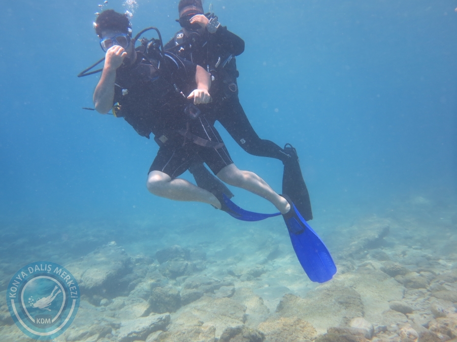 05-06 Ağustos 2017 BODRUM