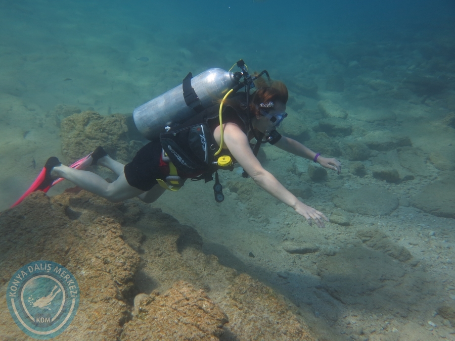 05-06 Ağustos 2017 BODRUM