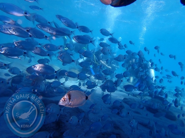 05-06 Ekim Fethiye