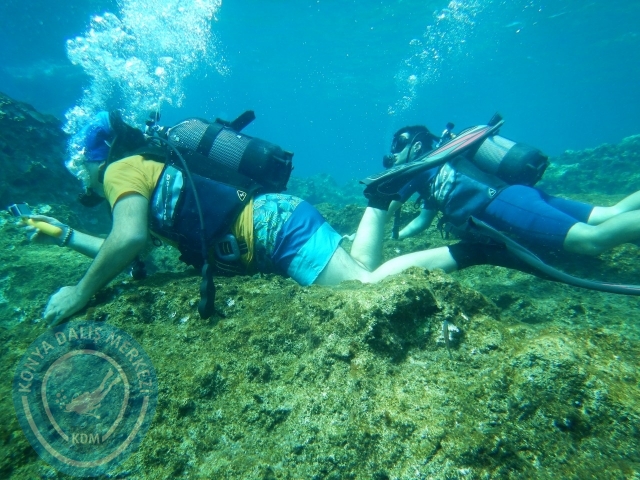 05-06 Eylül Kaş