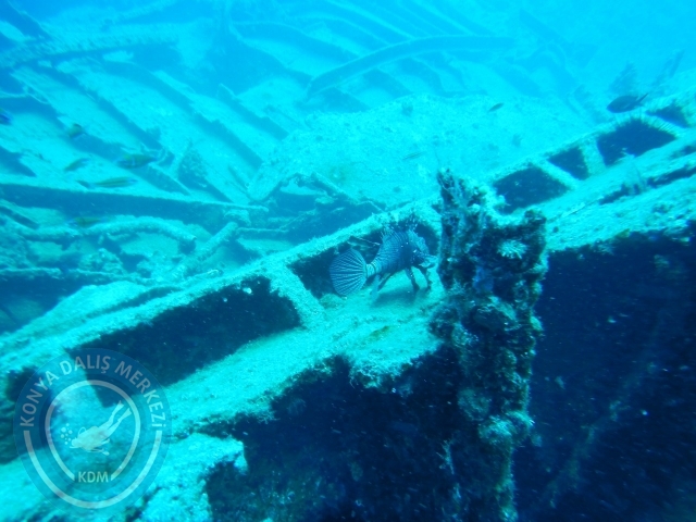 05-06 Eylül Kaş