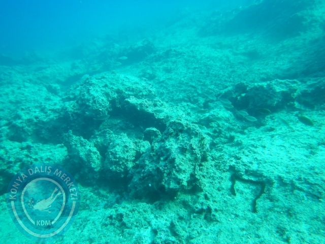 05-06 Eylül Kaş