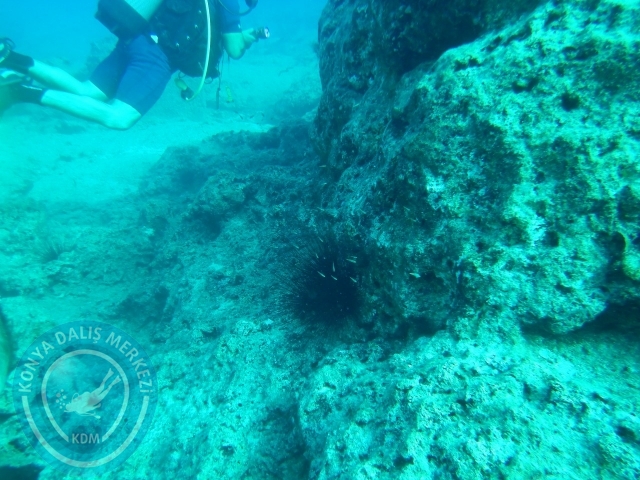 05-06 Eylül Kaş