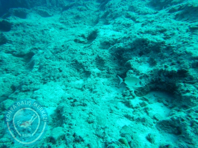 05-06 Eylül Kaş