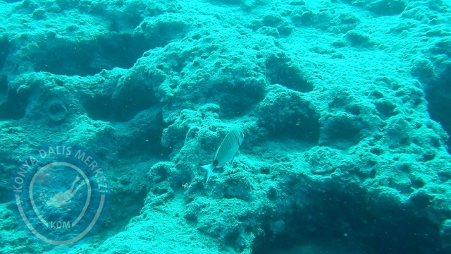 05-06 Eylül Kaş