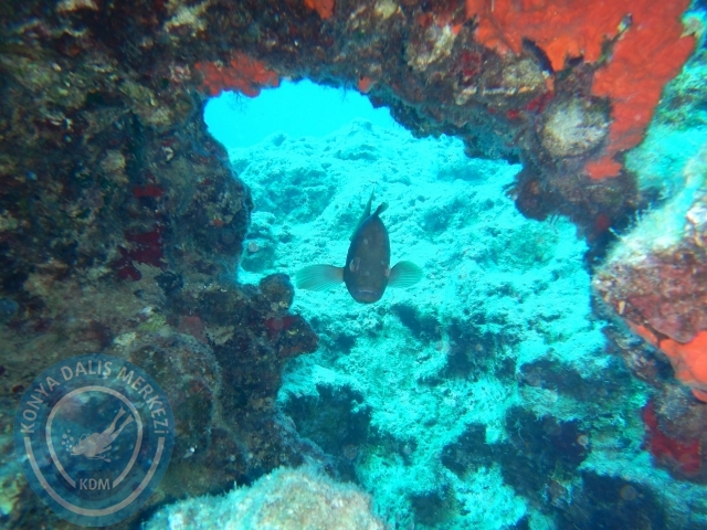 05-06 Eylül Kaş