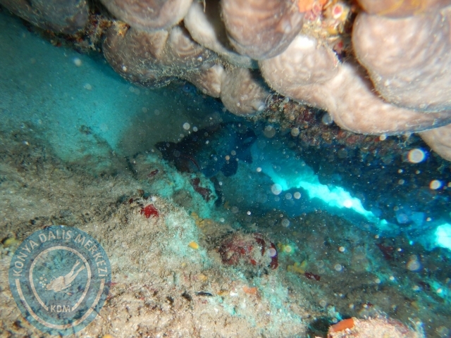 05-06 Eylül Kaş