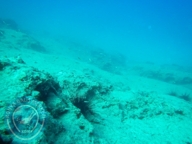 05-06 Eylül Kaş