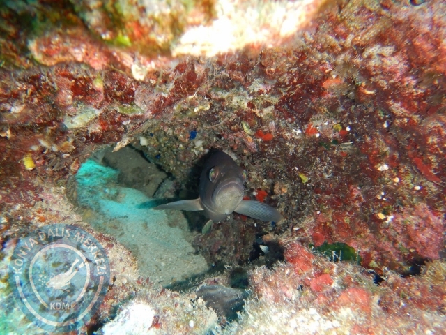 05-06 Eylül Kaş