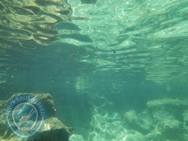 05-06 Eylül Kaş