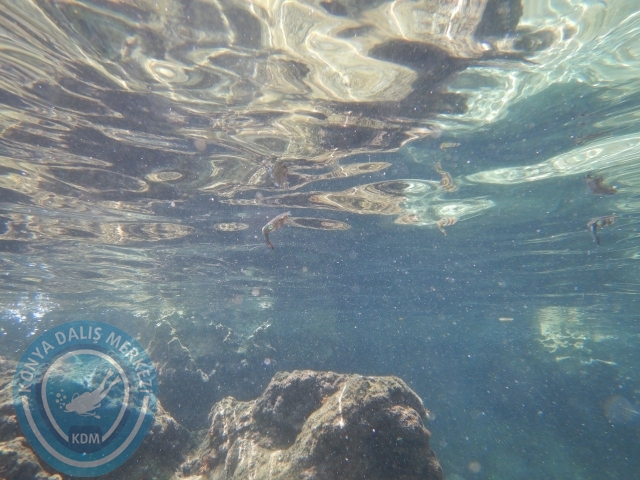 05-06 Eylül Kaş