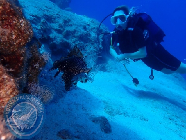 05-06 Temmuz KAŞ