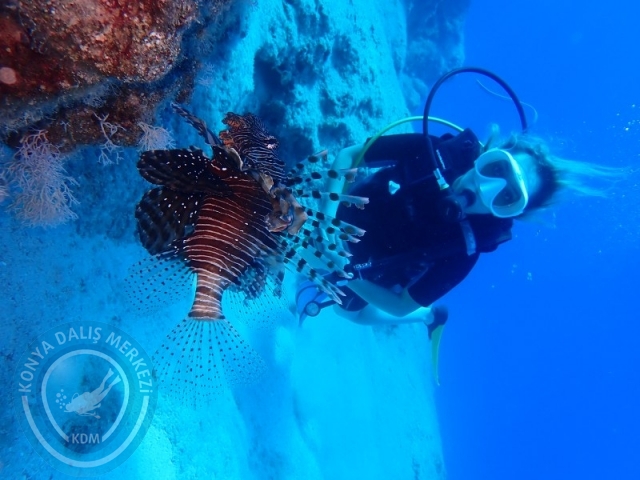 05-06 Temmuz KAŞ