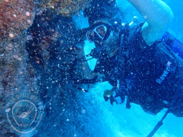 05-06 Temmuz KAŞ