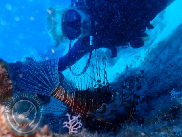 05-06 Temmuz KAŞ