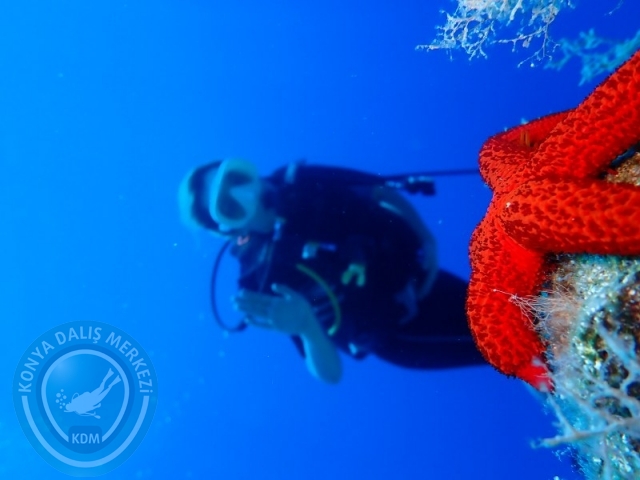05-06 Temmuz KAŞ