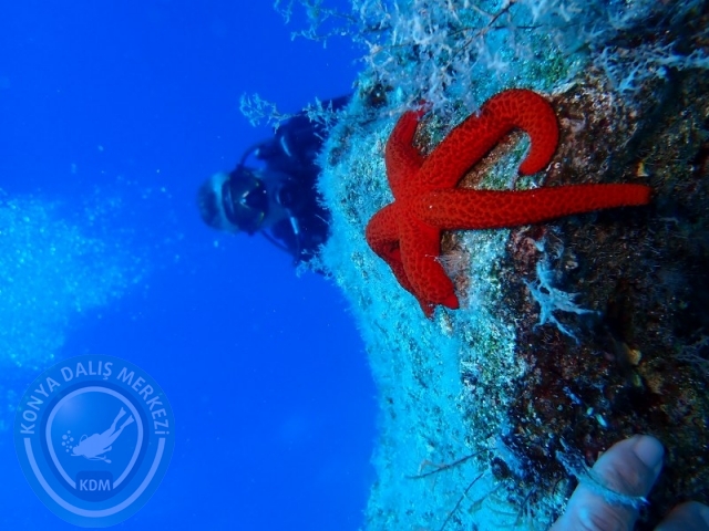 05-06 Temmuz KAŞ