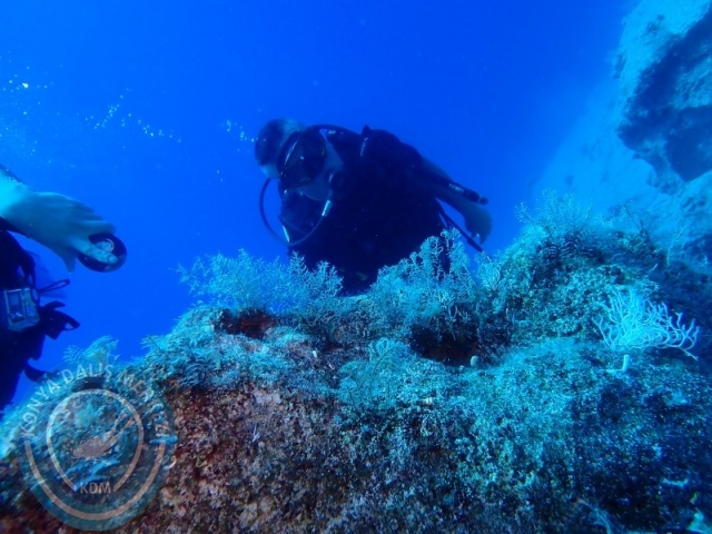 05-06 Temmuz KAŞ