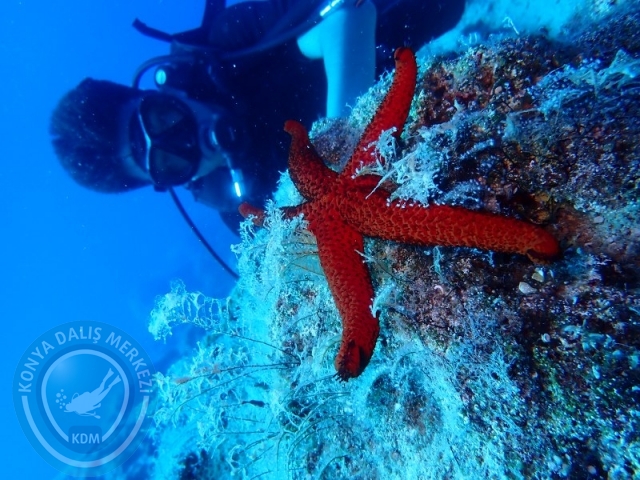 05-06 Temmuz KAŞ