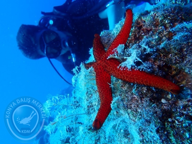 05-06 Temmuz KAŞ