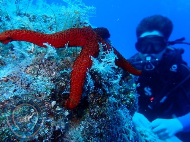 05-06 Temmuz KAŞ