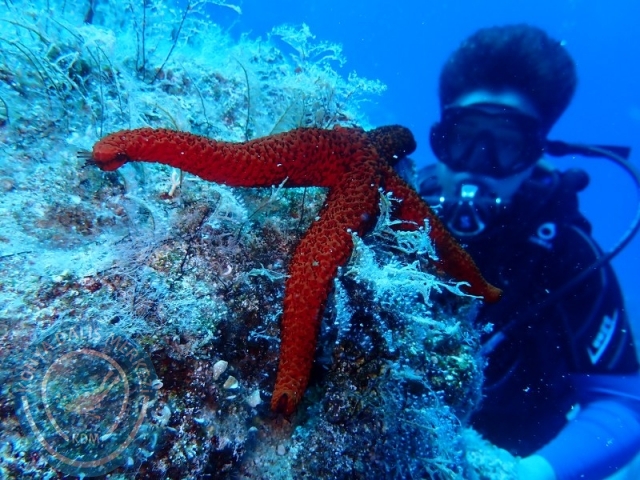 05-06 Temmuz KAŞ