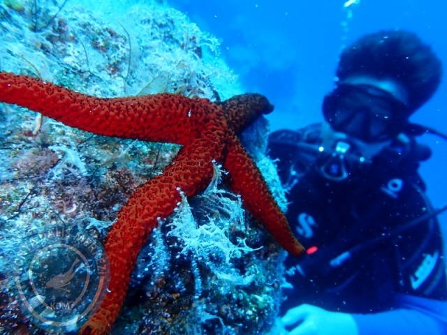 05-06 Temmuz KAŞ