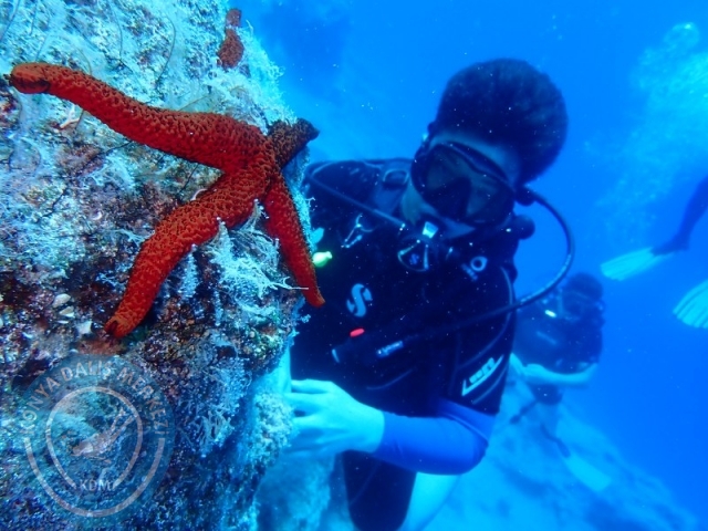 05-06 Temmuz KAŞ