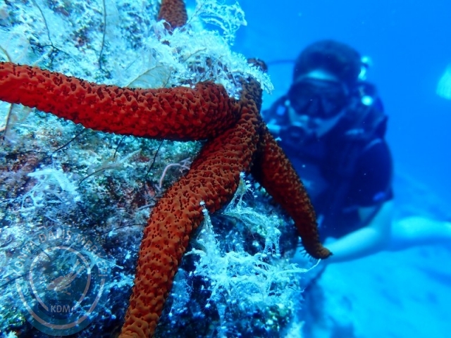 05-06 Temmuz KAŞ