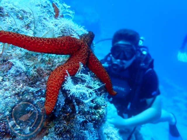 05-06 Temmuz KAŞ