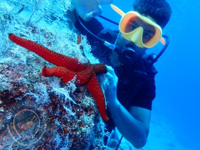 05-06 Temmuz KAŞ
