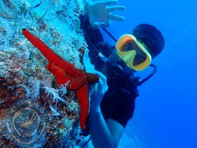 05-06 Temmuz KAŞ