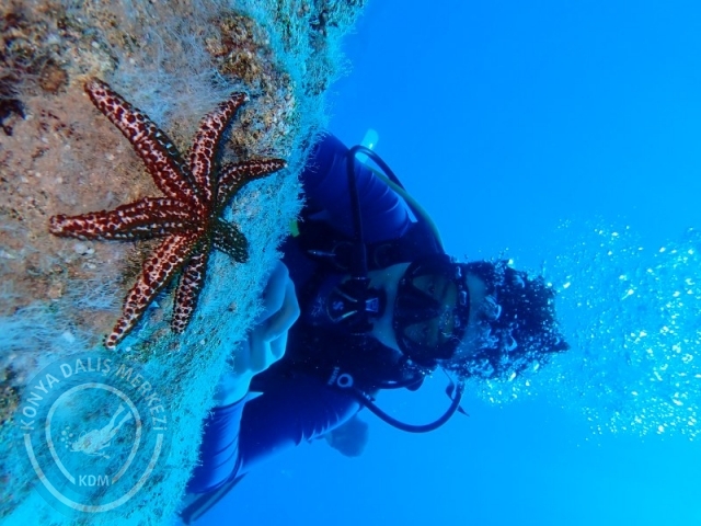 05-06 Temmuz KAŞ