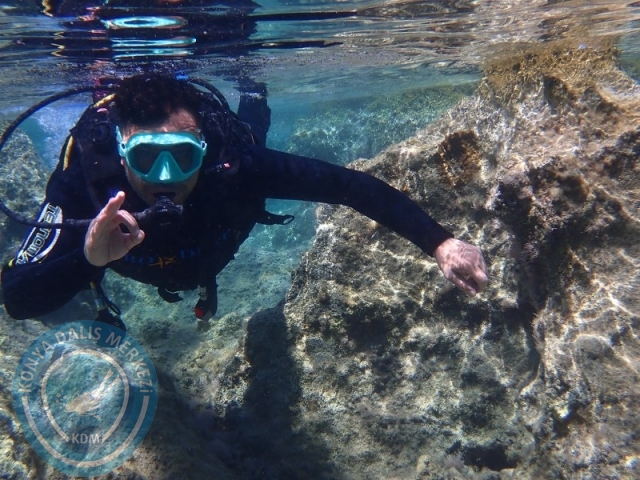 05-06 Temmuz KAŞ