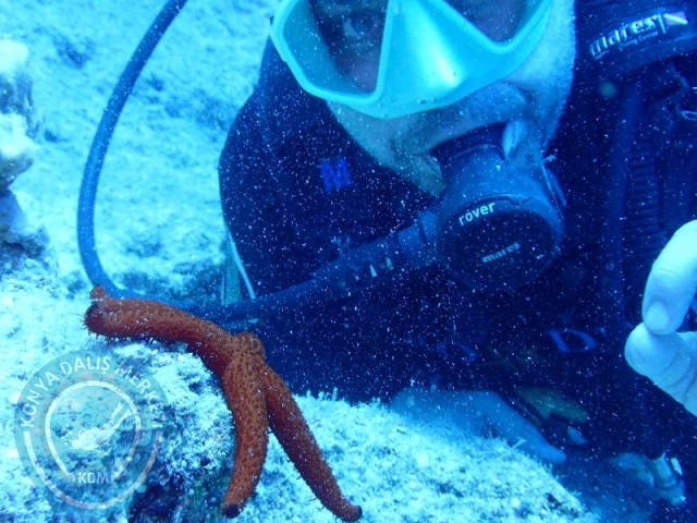 05-06 Temmuz KAŞ