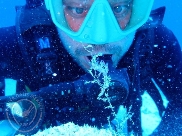 05-06 Temmuz KAŞ