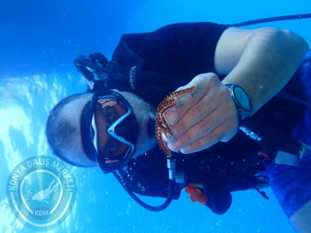 06 -07 Elül Kaş