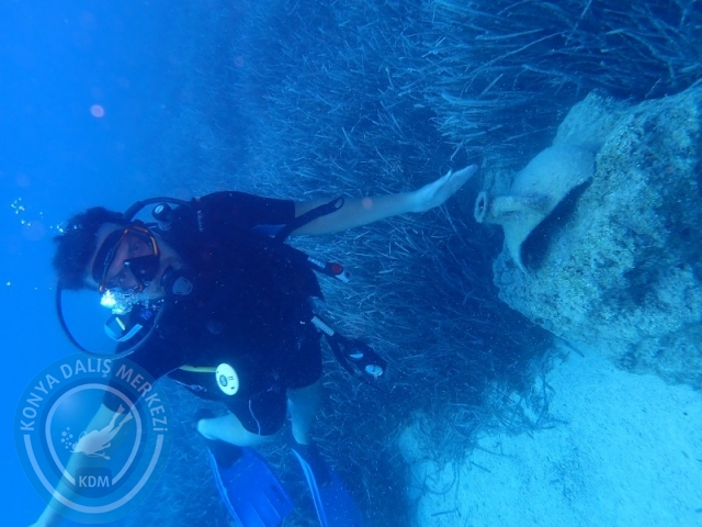 06 -07 Elül Kaş