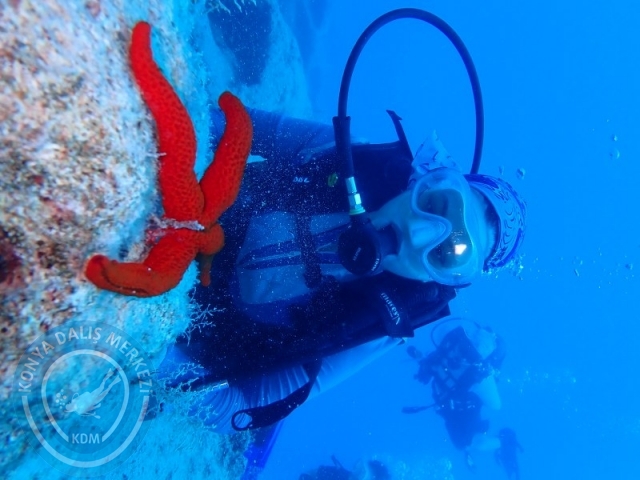 06 -07 Elül Kaş