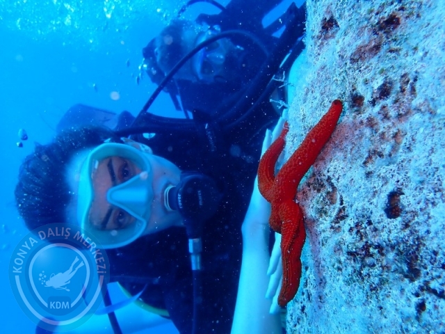 06 -07 Elül Kaş
